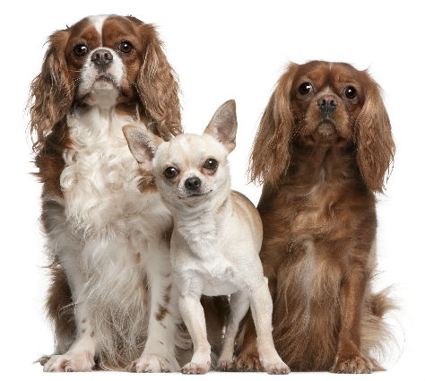 Fotolia_28694624_XXL